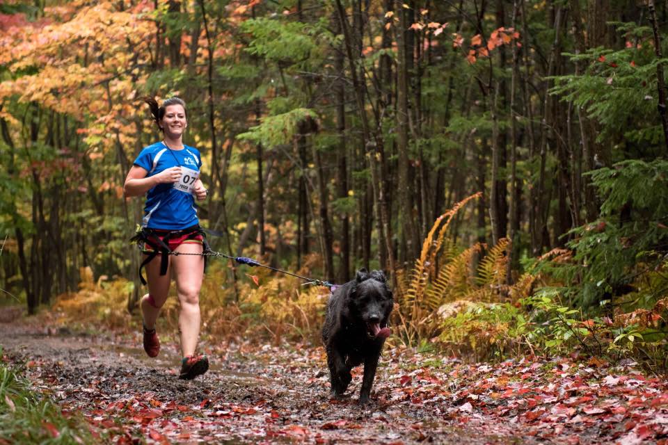 Pourquoi adoptez les sports tracter avec votre chien?