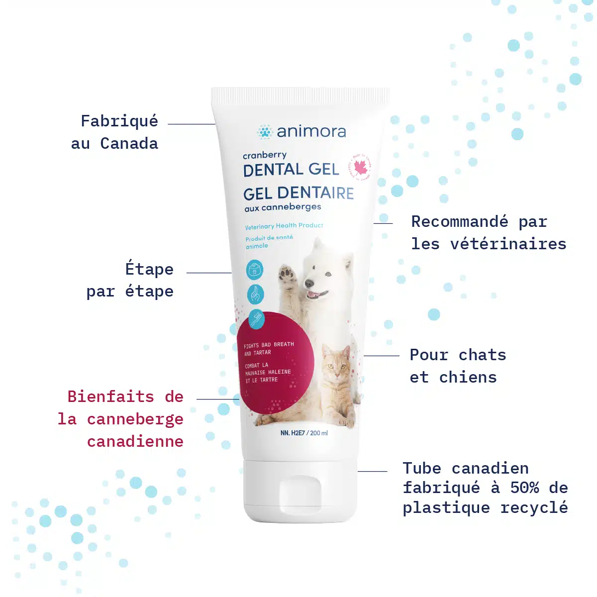 Animora Gel Dentaire