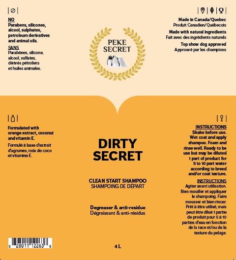 Peke Secret Shampoing Dirty Secret 500 ML