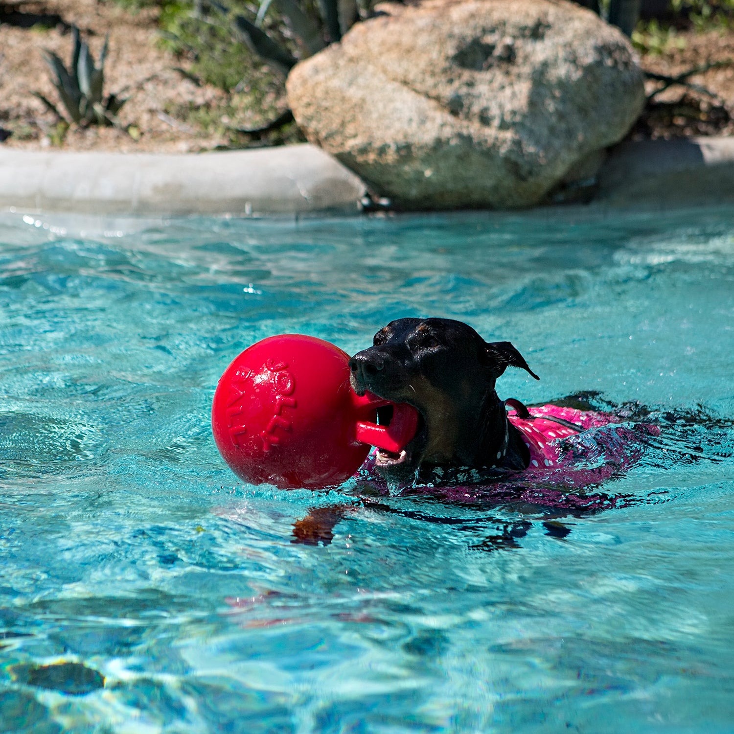 Jolly Pets Tug-N-Toss