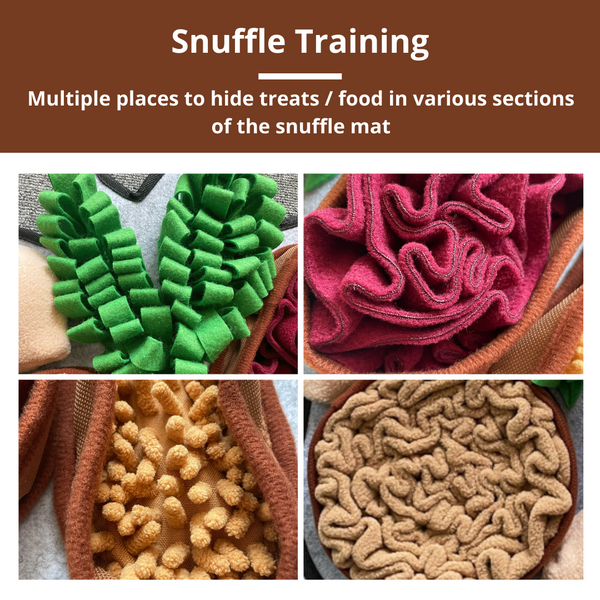 PawzNDogz Snuffle Mat Tapis Jeu Casse-tête Chonky Peanuts