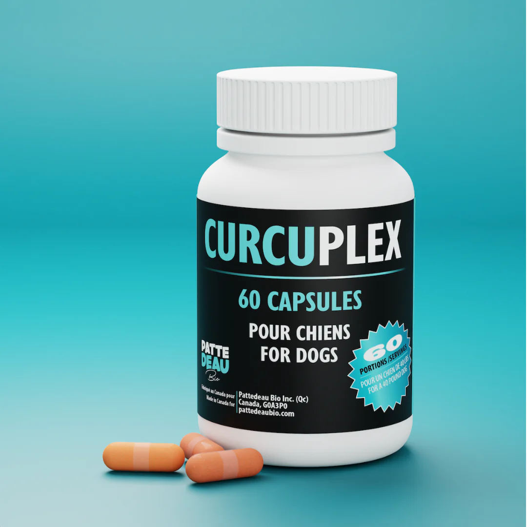 Curcuplex PatteDeau Bio