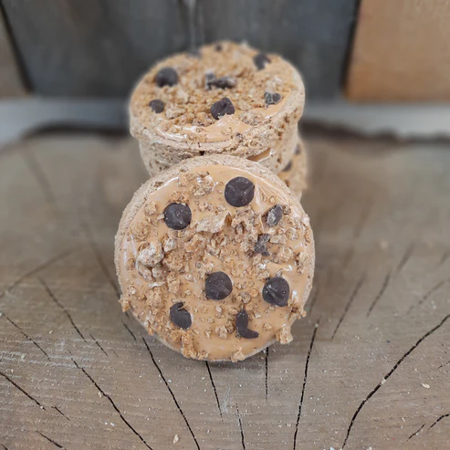 Biscuits Aux Brisures De Chocolat Pour Vos Chiens Miouf